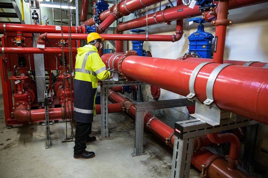 SKF Bearing, Man inspecting a plant